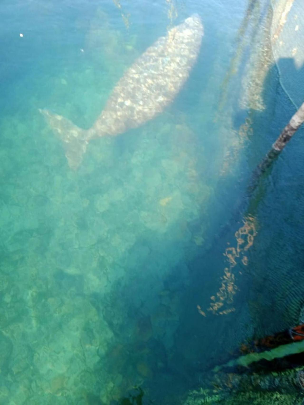 Pondok Wisata Noah Likupang Екстер'єр фото